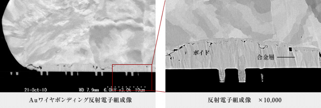 ワイヤボンディング部反射電子組成像