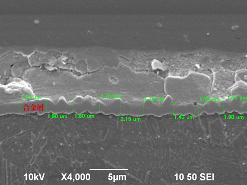 合金層の厚み測定