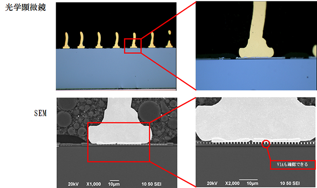 パッケージ内ワイヤーボンディング部の断面観察