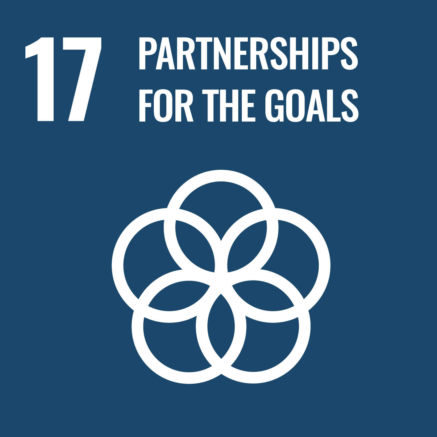 SDGs Goal 17